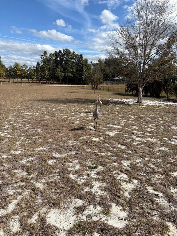 1297 Pfundstein Road Babson Park, FL 33827 - Photo 49 of 65 a view of outdoor space with mountain view