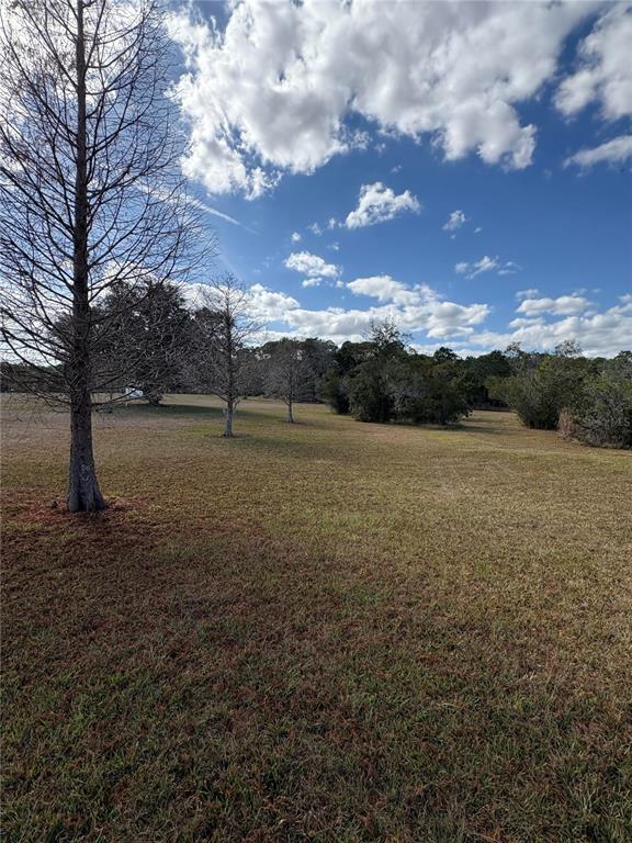 1297 Pfundstein Road Babson Park, FL 33827 - Photo 55 of 65
