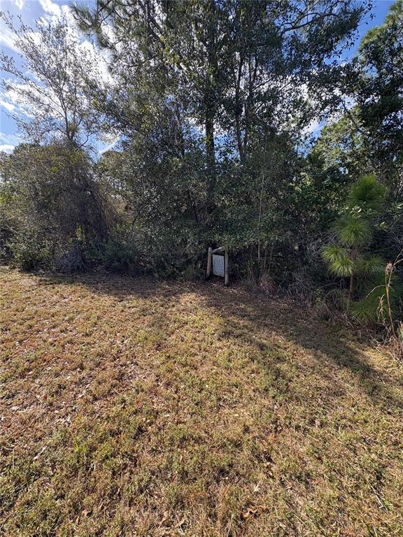 1297 Pfundstein Road Babson Park, FL 33827 - Photo 60 of 65 a view of a backyard with a tree