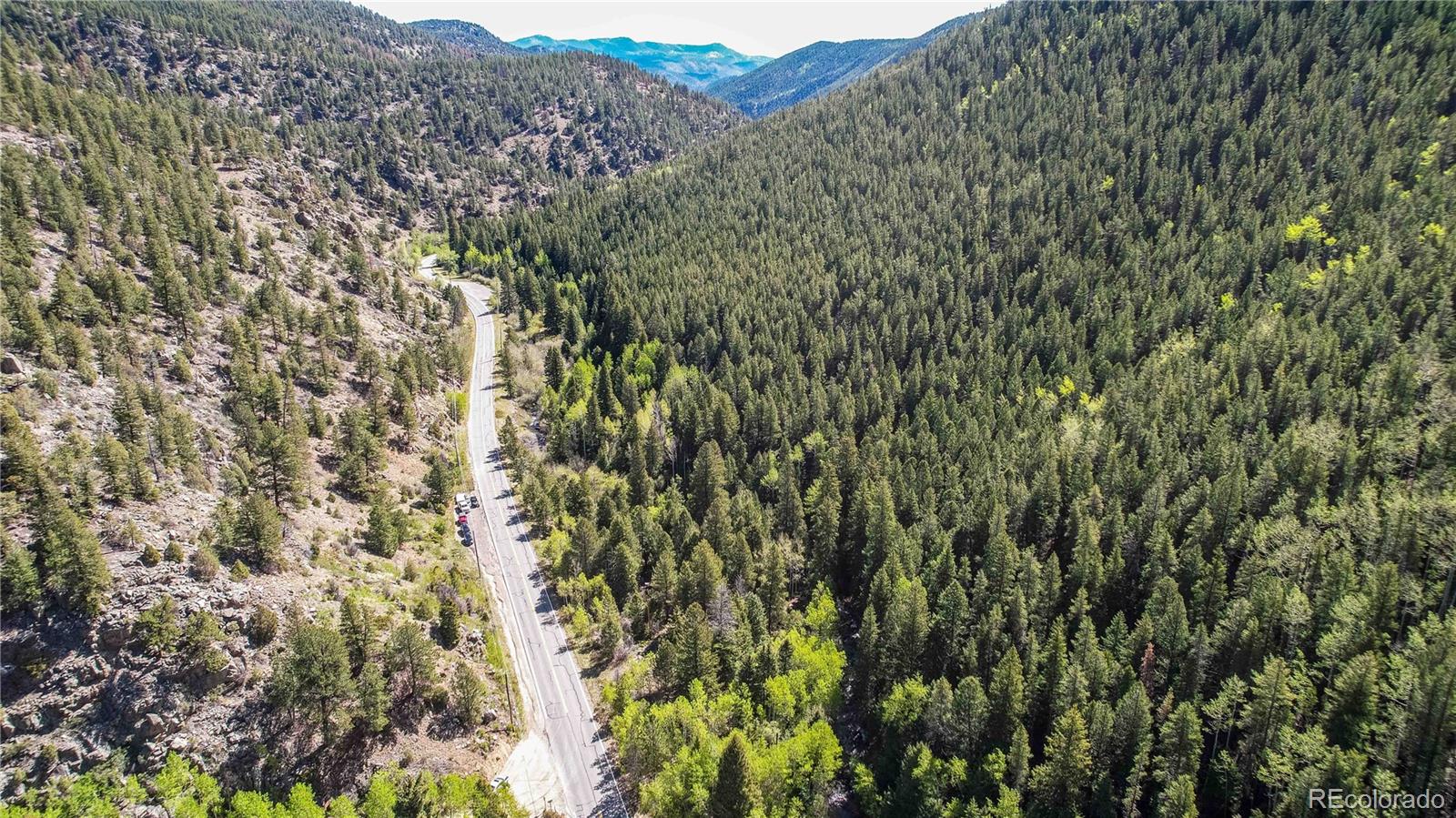 103 Cascade Creek Road Idaho Springs, CO 80452 - Photo 12 of 40 a view of a lush green forest