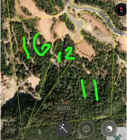 a picture of a tree