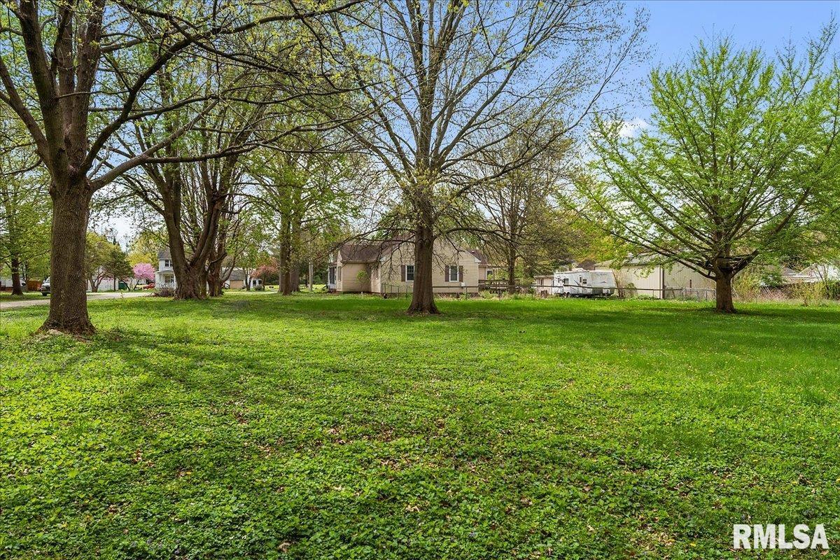 313 South Walnut Street Buffalo, IL 62515 - Photo 38 of 46