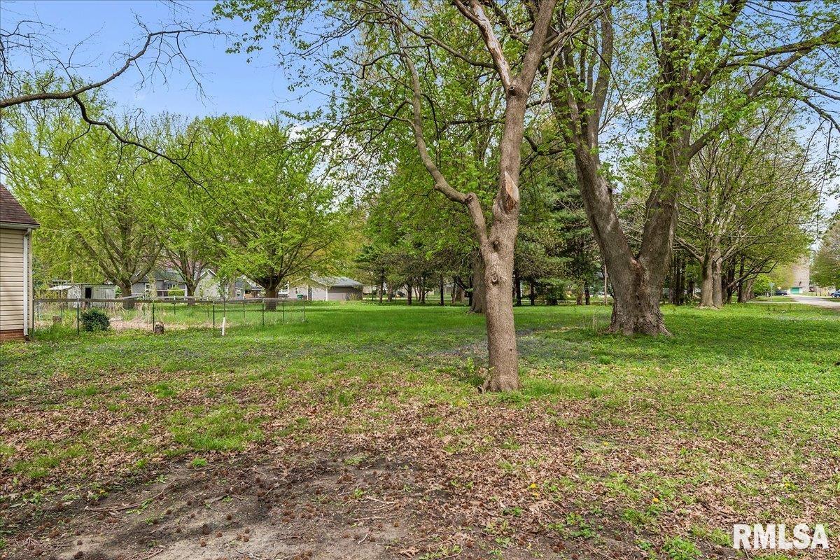 313 South Walnut Street Buffalo, IL 62515 - Photo 5 of 46
