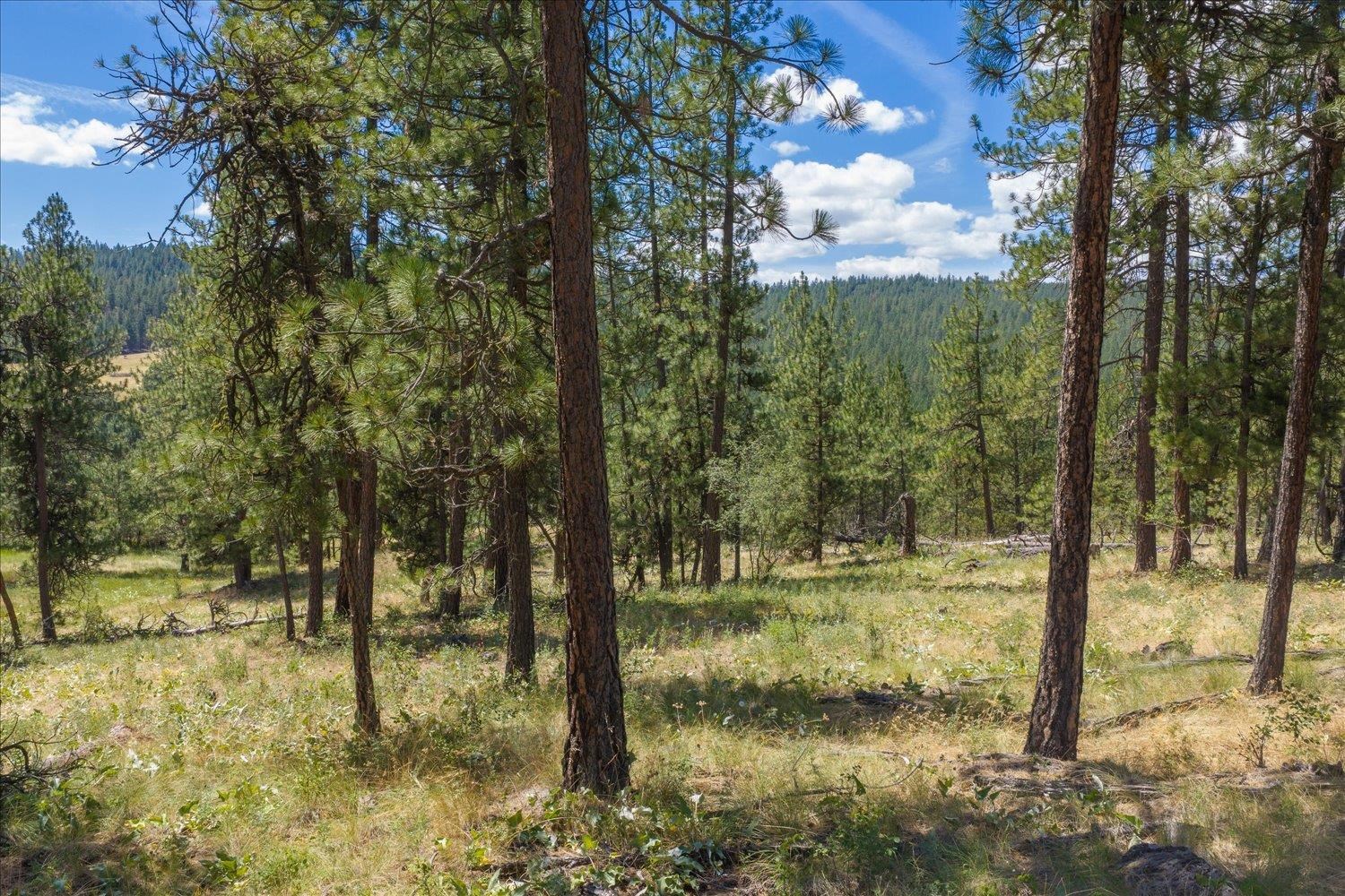 2625 South Stateline Road Liberty Lake, WA 99019 - Photo 43 of 50