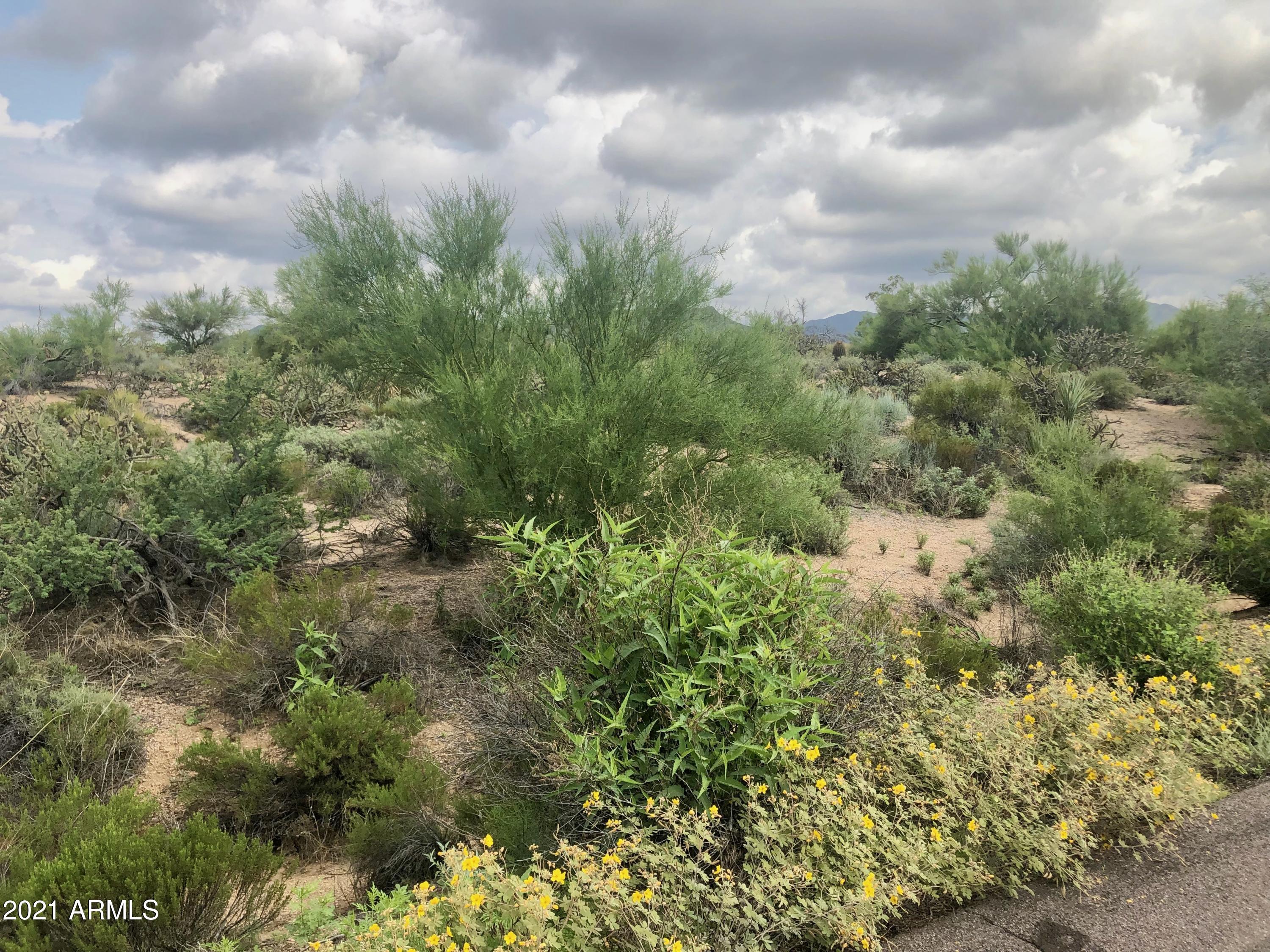 9444 Romping Road, Unit 6 Carefree, AZ 85377 - Photo 4 of 5 A4E2300B-64DC-45FD-A402-A184295FF700_1_2
