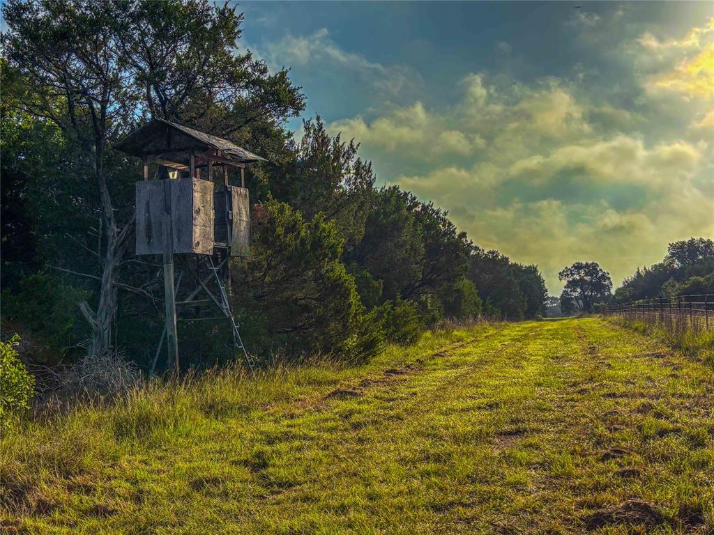 Unk Unk Private Road, Unit 2131 Iredell, TX 76649 - Photo 10 of 36 a backyard of a house with lots of green space