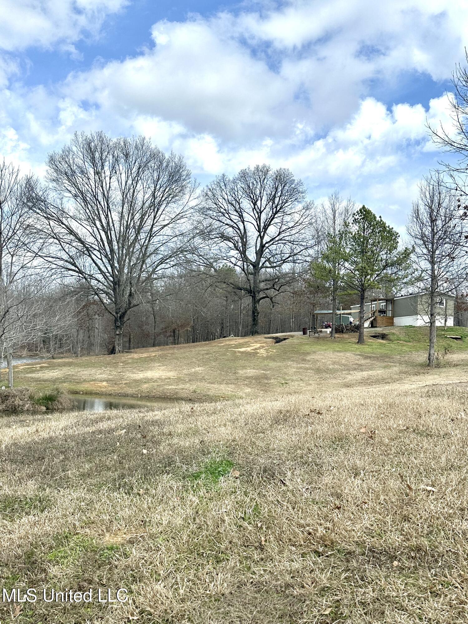 2702 Bethel Church Road Grenada, MS 38901 - Photo 28 of 32 10683-27 2702 Bethel Church Rd
