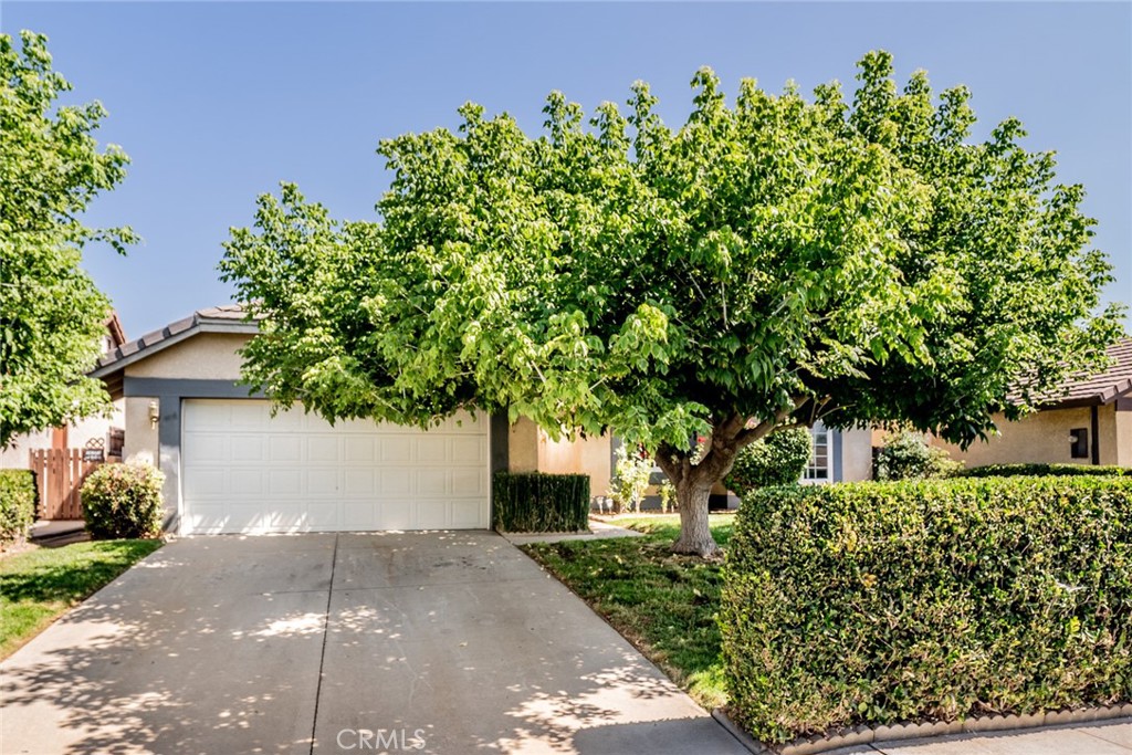 front view of a house with a tree