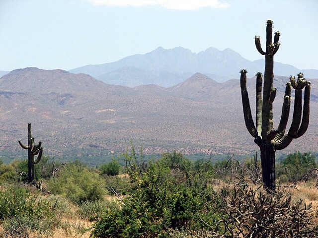 301 North 170th West Street, Unit WEST Rio Verde, AZ 85263 - Photo 2 of 6 Additional Photo