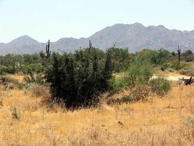 301 North 170th West Street, Unit WEST Rio Verde, AZ 85263 - Photo 3 of 6 Additional Photo