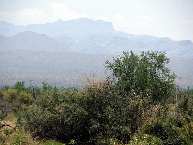 301 North 170th West Street, Unit WEST Rio Verde, AZ 85263 - Photo 4 of 6 Additional Photo