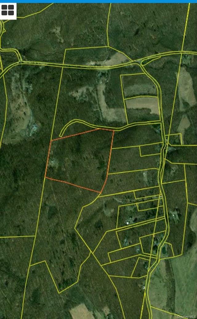 Mile High Road Elizaville, NY 12523 - Photo 6 of 6