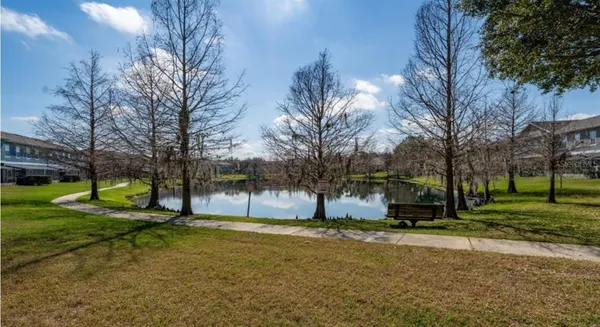a view of street with tall trees