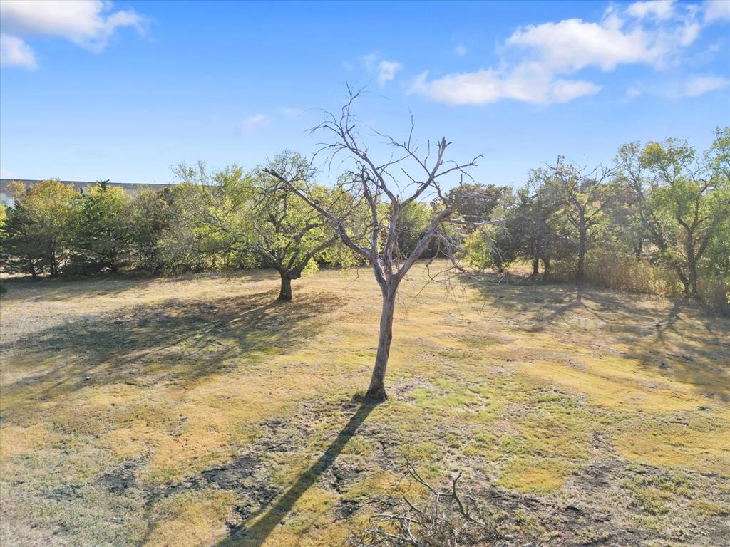 0 East Cherry Tree Lane Fate, TX 75087 - Photo 17 of 21