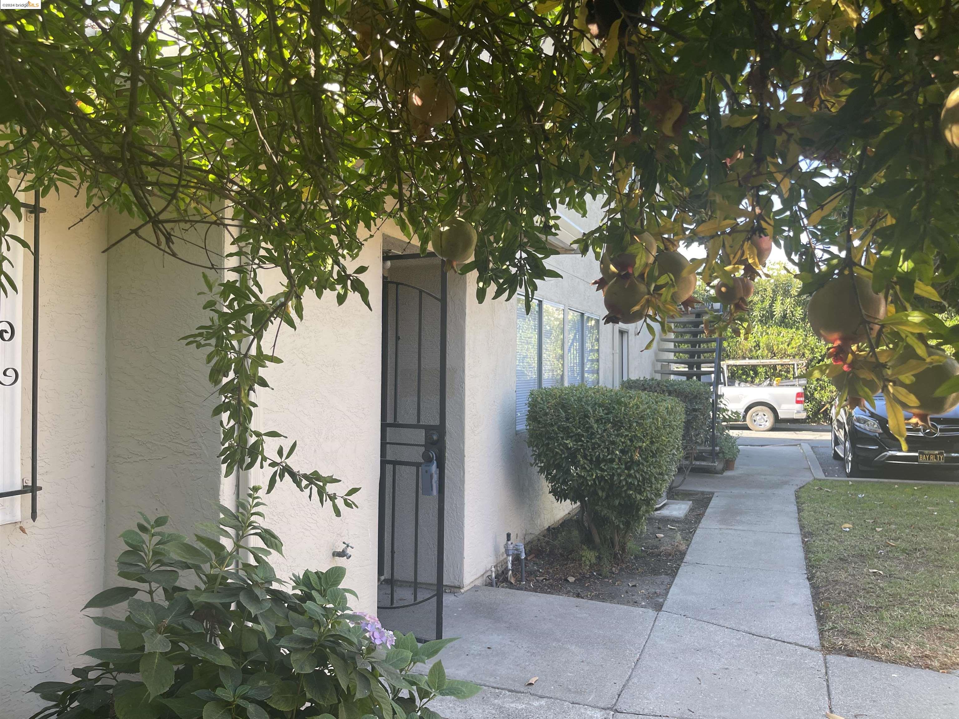 1096 Mohr Lane Concord, CA 94518 - Photo 2 of 34 a view of a plants in front of house