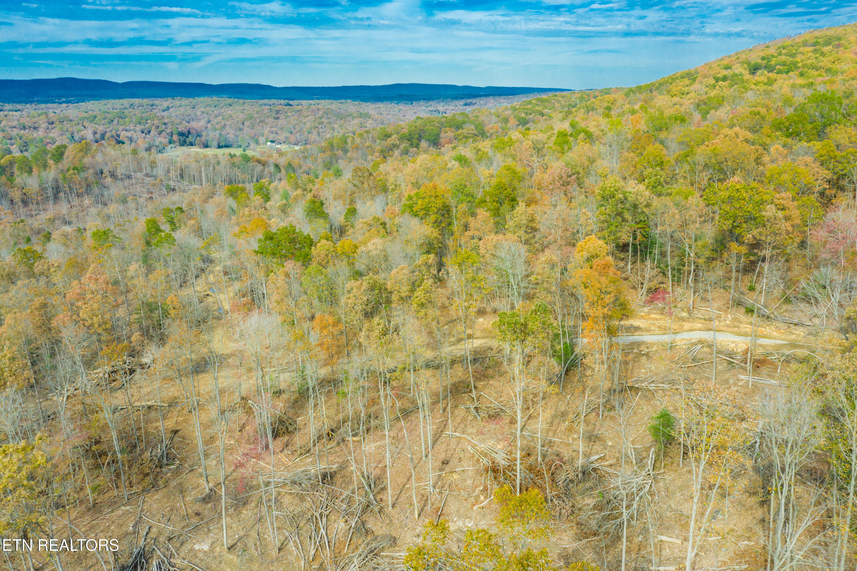Tower Road Rockwood, TN 37854 - Photo 4 of 36 Firetower_Land-3