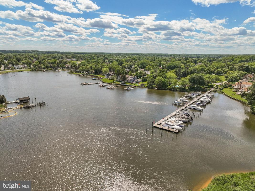 980 South River Landing Road Edgewater, MD 21037 - Photo 65 of 76 Aereal of Community Amenities