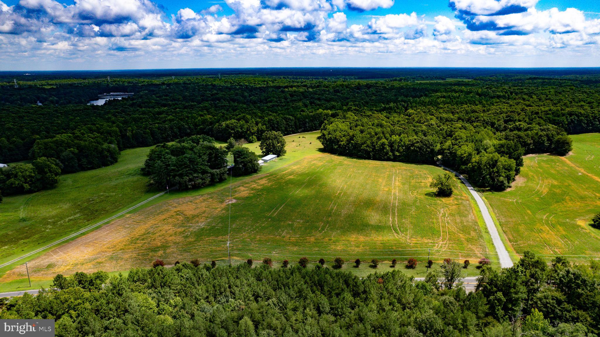 25.5-acres Ladysmith Road Ruther Glen, VA 22546 - Photo 36 of 42 Gallery Image 36