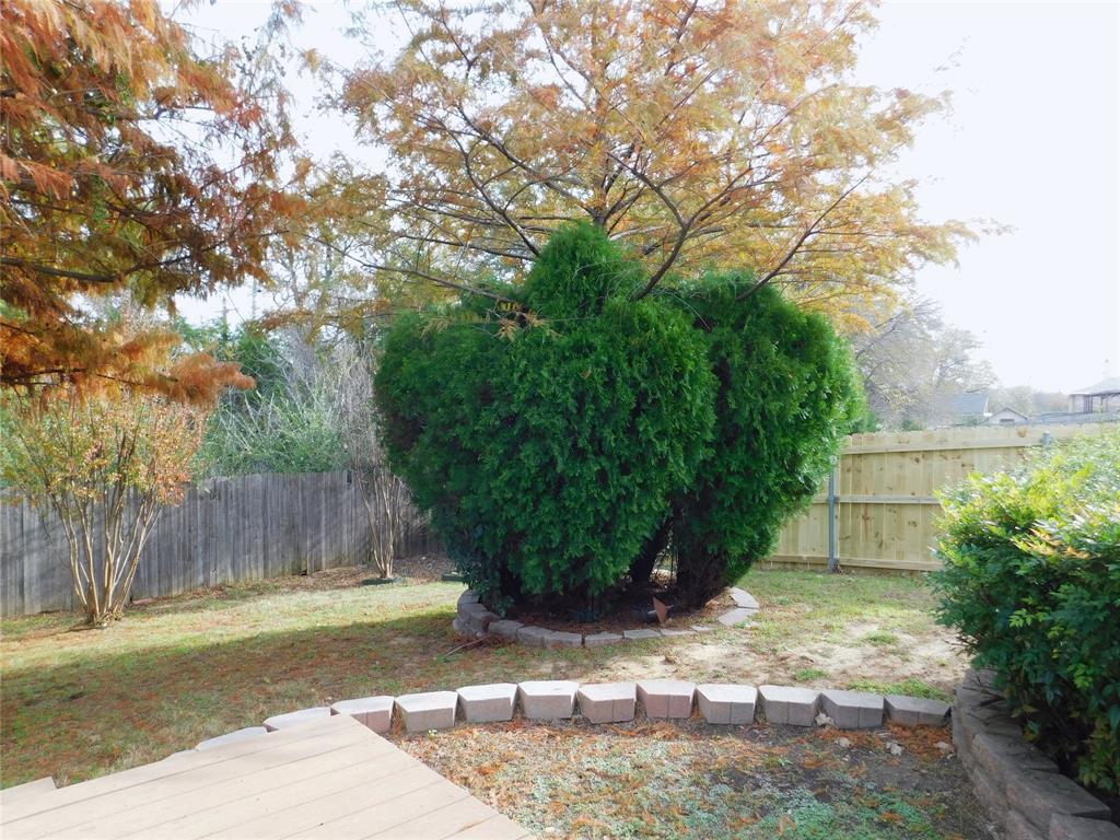 5721 Thoroughbred Trail Denton, TX 76210 - Photo 21 of 24 a view of a yard with plants and large trees