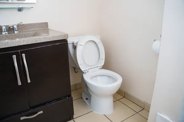 a bathroom with a sink and a toilet