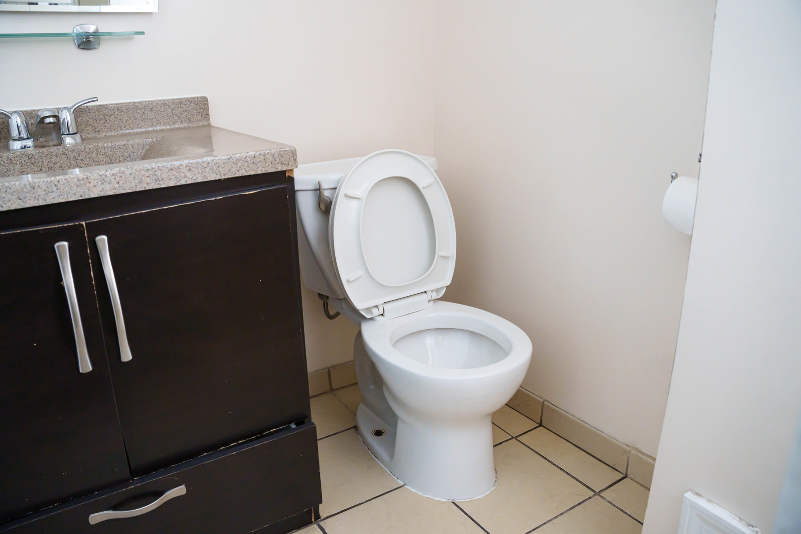3912 West 55th Place Chicago, IL 60629 - Photo 16 of 20 a bathroom with a sink and a toilet