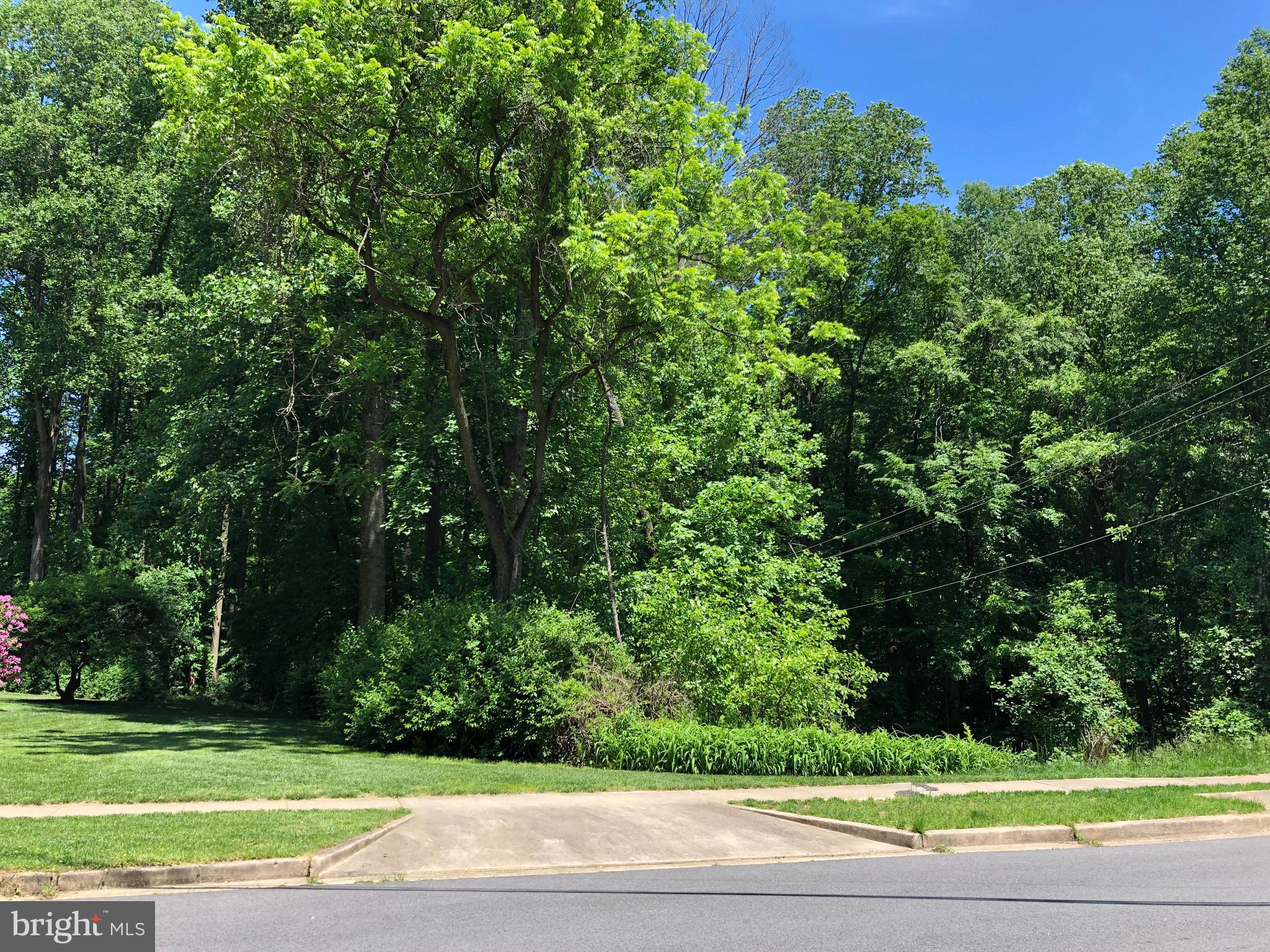 Red Fox Drive Annandale, VA 22003 - Photo 1 of 15 Lot Frontage