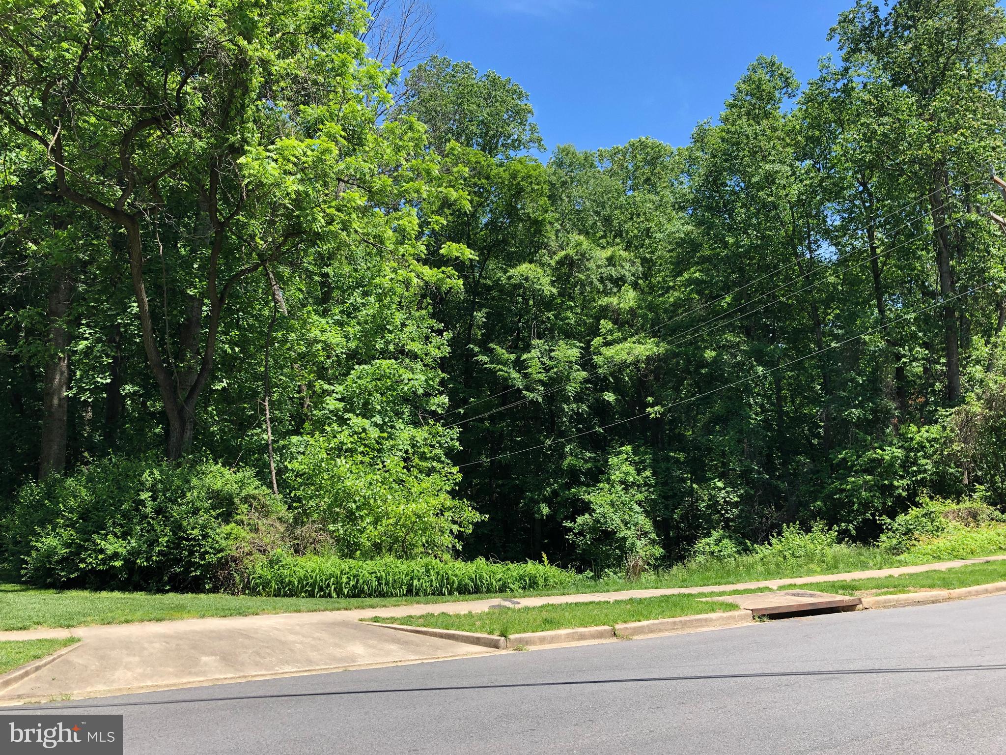 Red Fox Drive Annandale, VA 22003 - Photo 5 of 15 Lot Frontage