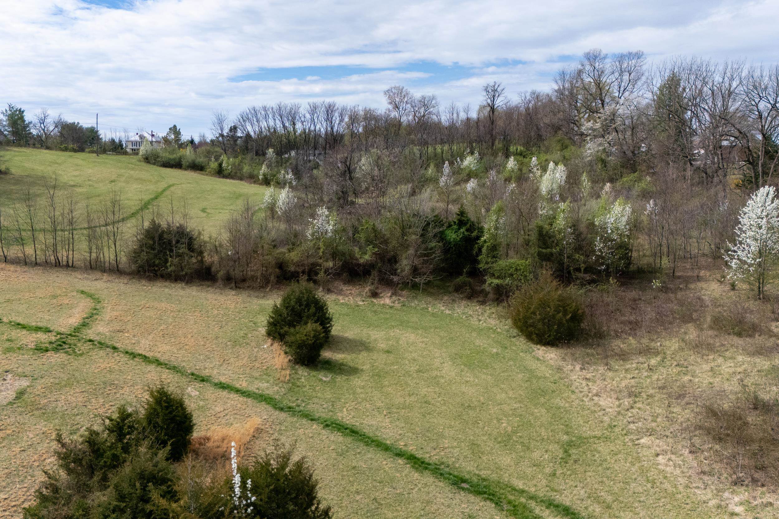 12039 Hupp Road Broadway, VA 22815 - Photo 14 of 22 Gallery Image 14