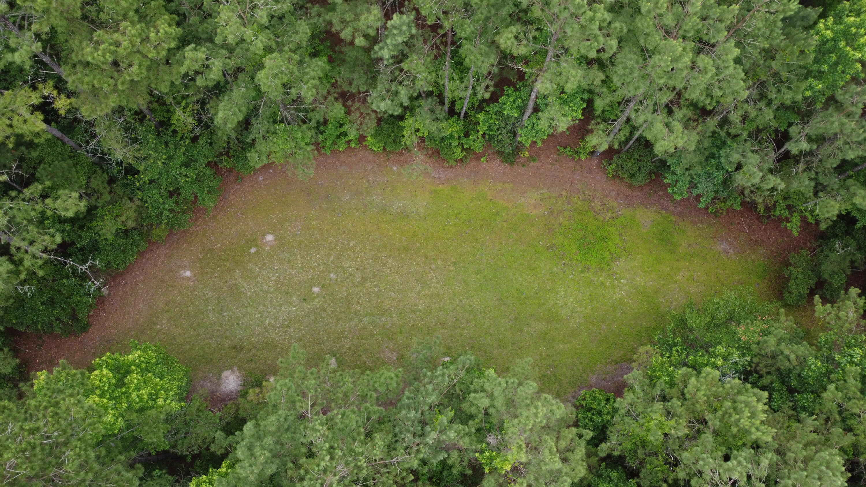 dji_fly_20250604_142132_781_174906131254