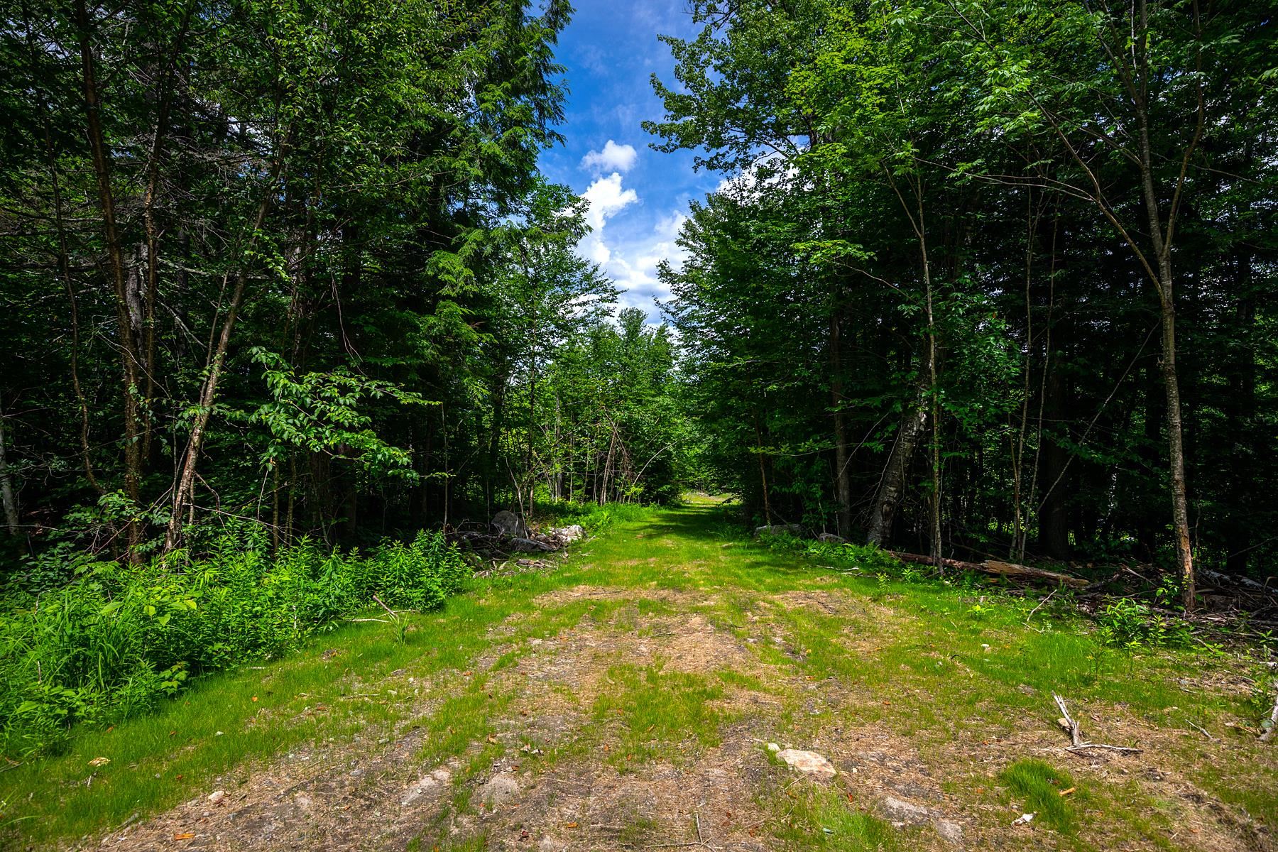 0 Little Pond Road Andover, VT 05143 - Photo 8 of 16