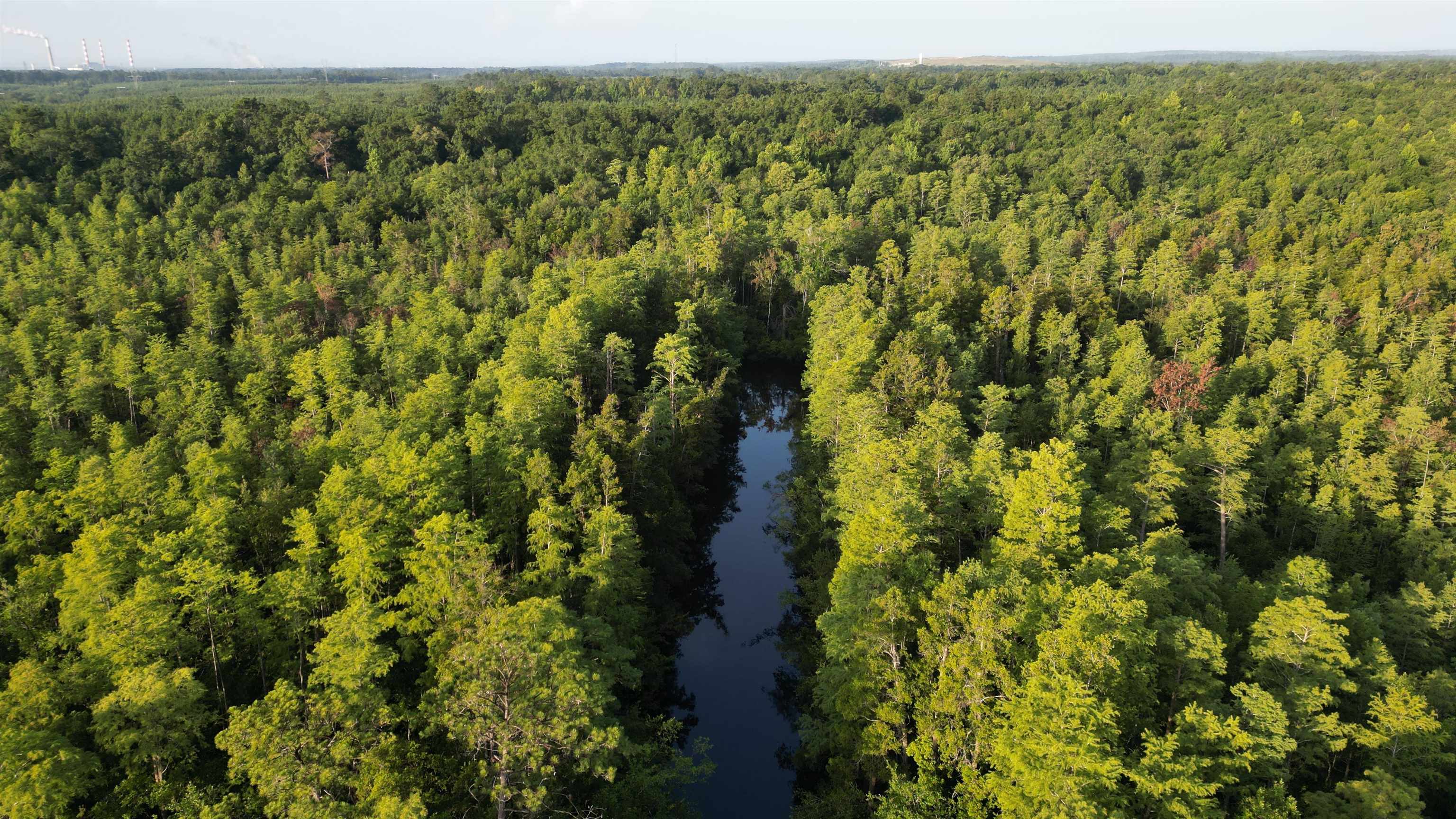 1050 Cedar Creek Landing Road Mount Vernon, AL 36560 - Photo 10 of 59 Aerial View