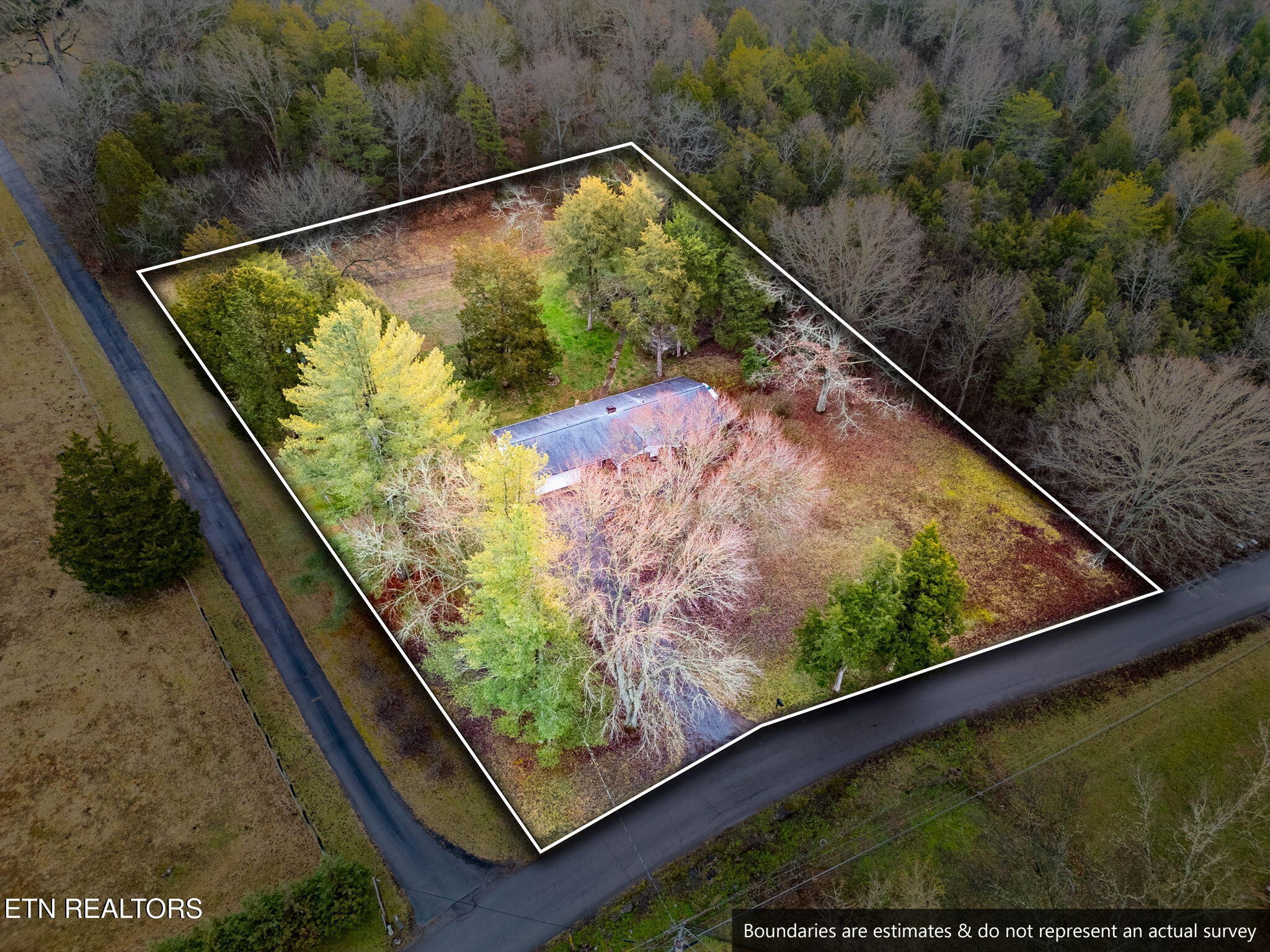 7536 Rodgers Road Corryton, TN 37721 - Photo 6 of 41 a view of swimming pool from a balcony