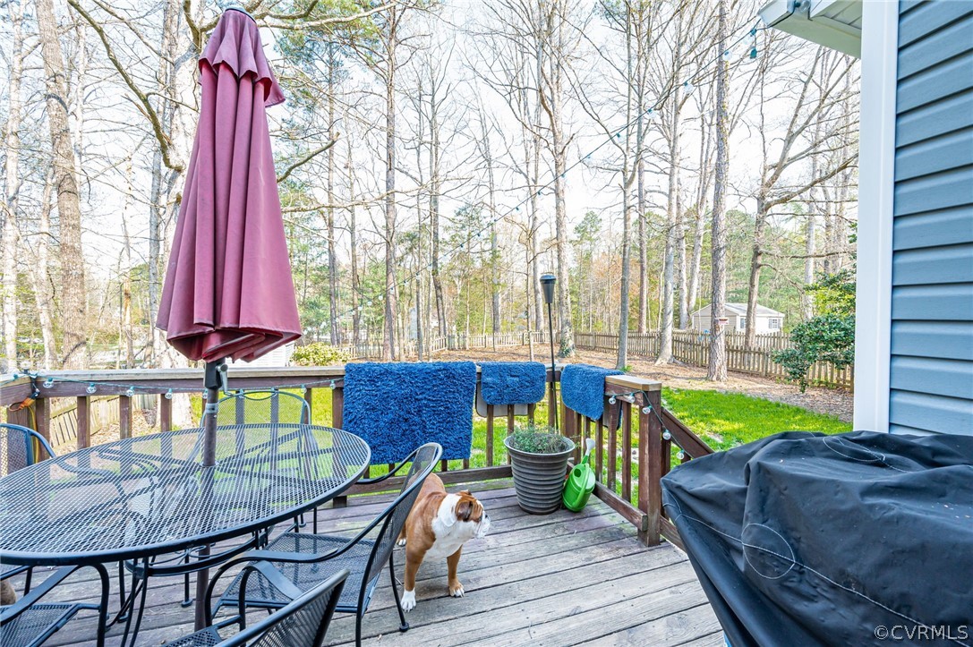 14808 Acorn Ridge Place Midlothian, VA 23112 - Photo 19 of 21 Gallery Image 19