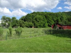 32352 Poor Valley Road Saltville, VA 24370 - Photo 18 of 23 Photo 19