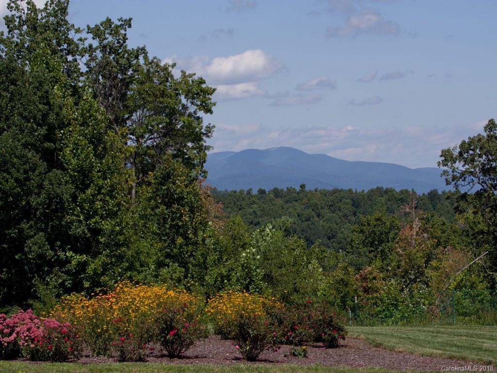 171 Monarch Road, Unit 12 Hendersonville, NC 28739 - Photo 3 of 14 Gallery Image 3