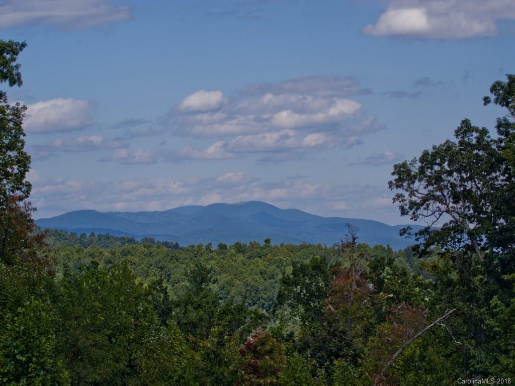 171 Monarch Road, Unit 12 Hendersonville, NC 28739 - Photo 7 of 14 Gallery Image 7