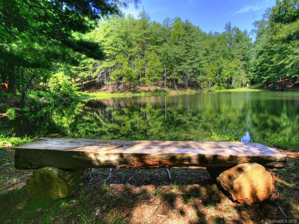 171 Monarch Road, Unit 12 Hendersonville, NC 28739 - Photo 10 of 14 Gallery Image 10