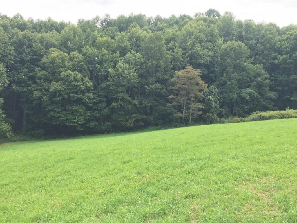 949 Grover Reece Road Trade, TN 37691 - Photo 3 of 13 Photo 3