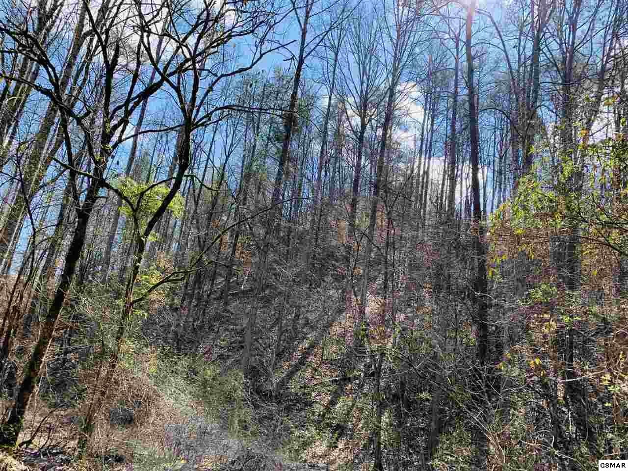 9 Sulpher Springs Road Sevierville, TN 37862 - Photo 7 of 12 Gallery Image 7