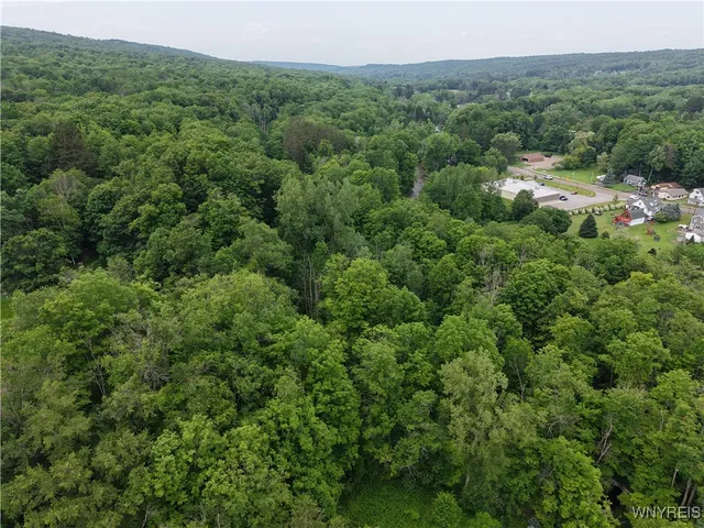 $50,000 | 8762 Lower East Hill Road, Colden, NY 14033