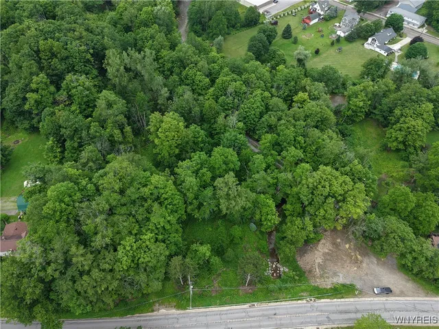 $50,000 | 8762 Lower East Hill Road, Colden, NY 14033