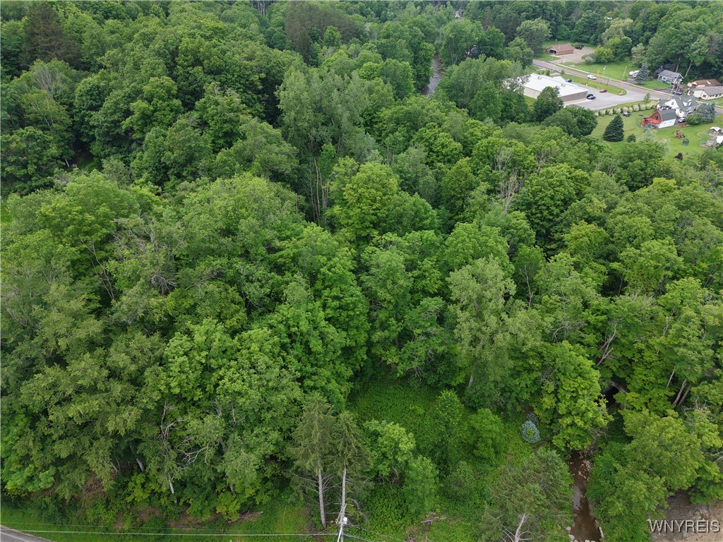 8762 Lower East Hill Road Colden, NY 14033 - Photo 15 of 15