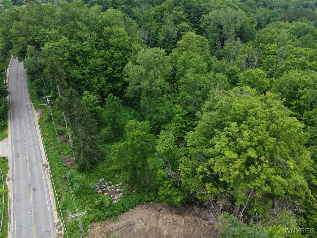 8762 Lower East Hill Road Colden, NY 14033 - Photo 4 of 15