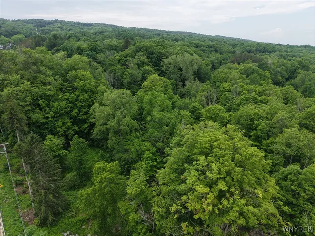 $50,000 | 8762 Lower East Hill Road, Colden, NY 14033