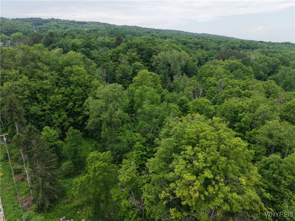 8762 Lower East Hill Road Colden, NY 14033 - Photo 5 of 15