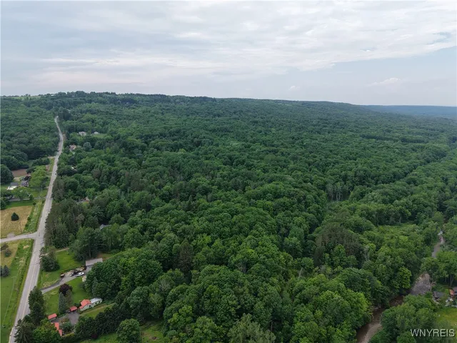 $50,000 | 8762 Lower East Hill Road, Colden, NY 14033