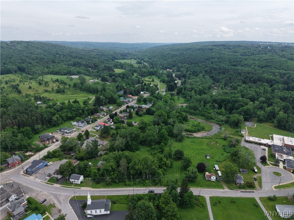 8762 Lower East Hill Road Colden, NY 14033 - Photo 7 of 15