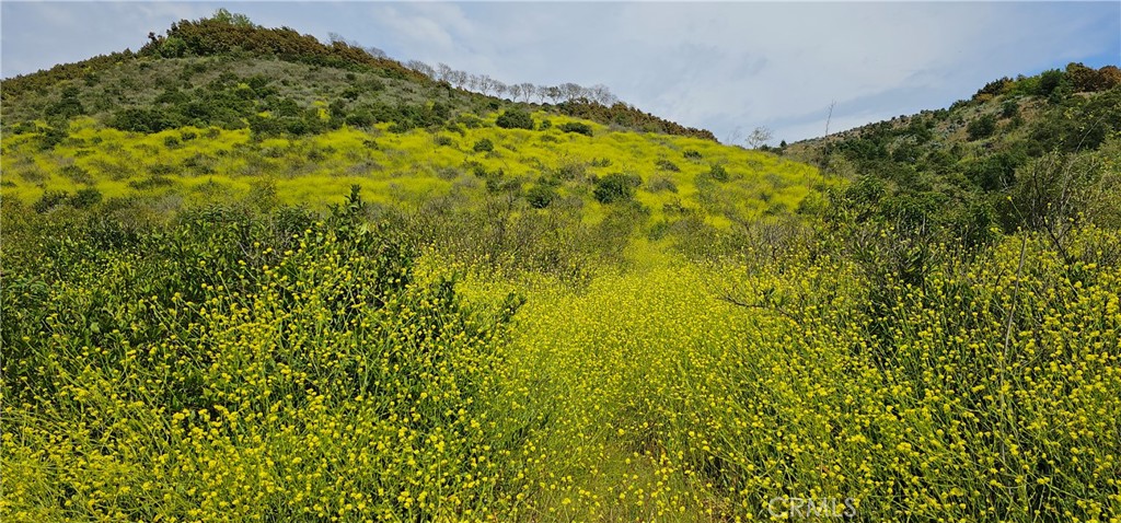 46700 El Prado Road Temecula, CA 92590 - Photo 3 of 9