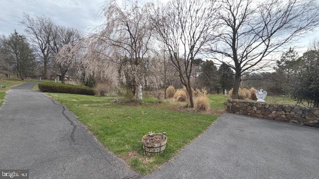 234 Hopewell Road Clear Brook, VA 22624 - Photo 39 of 69