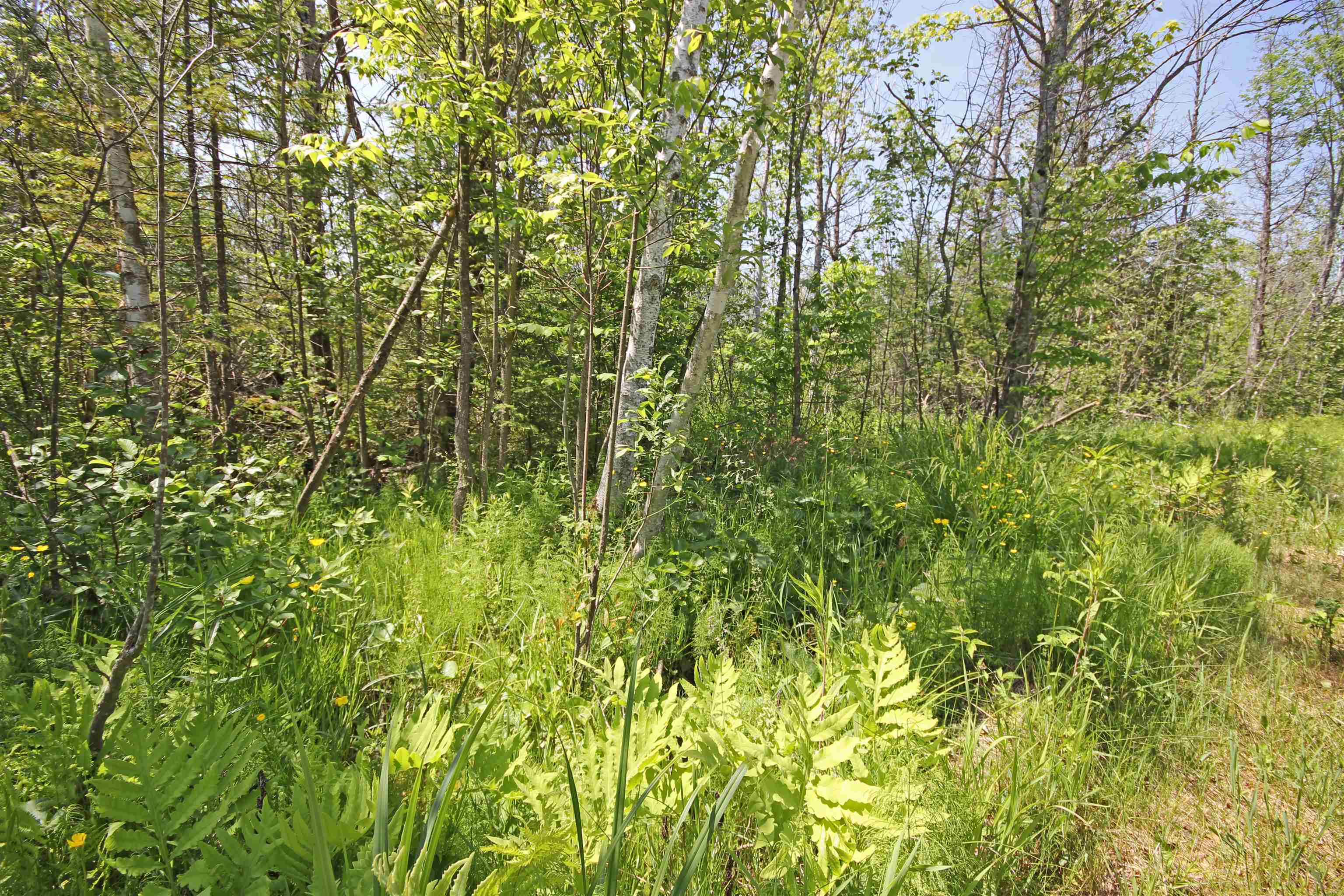 State Road Kalkaska, MI 49646 - Photo 14 of 30 Gallery Image 14